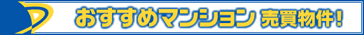 sỸp[gi[ VzEÃ}V